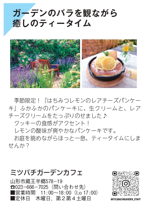 24.6mitubachi